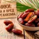 Финики: польза и вред для организма