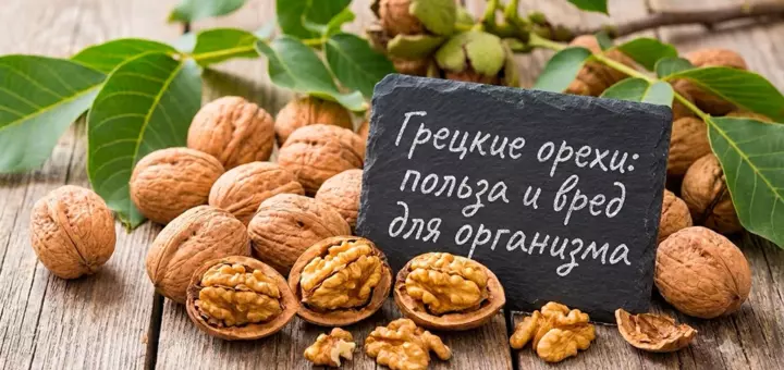 Грецкие орехи: польза и вред для организма