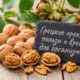 Грецкие орехи: польза и вред для организма