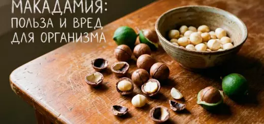 Макадамия: польза и вред для организма