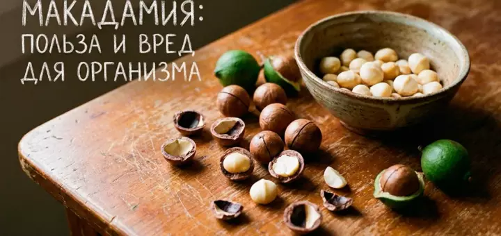 Макадамия: польза и вред для организма