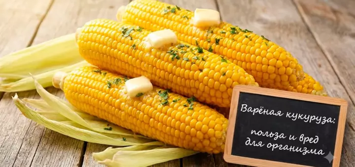 Варёная кукуруза польза и вред для организма